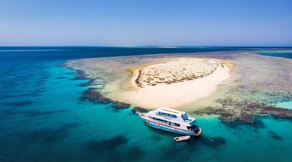 Coral Garden trip description in Marsa Alam: 🌊 What’s Included in the Trip? - Duration: Approximately 8 hours - Activities: - Snorkeling at three top spots, including “Mickey Room” and the “Alam” reef - Chance to spot dolphins and vibrant coral reefs - Visit to an intriguing shipwreck site - Lunch: A delicious meal served onboard the boat - Transport: Pickup and drop-off from the hotel in an air-conditioned vehicle - Snorkeling Gear: Included in the booking - Available Languages: Arabic, English, Russian, Italian - Extra Fees: $7 per person for governmental environmental fees ☀️ Who’s it for? Perfect for all ages and fitness levels—whether you're a first-time snorkeler or a seasoned diver.