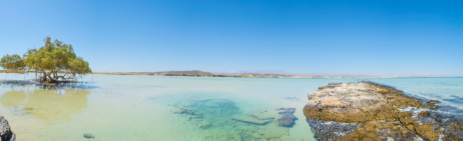 Wadi El Gemal Reserve